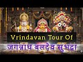 Vrindavan Tour of Lord Jagannath Baldev Subhadra