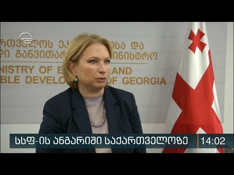 სსფ-ის ანგარიში საქართველოზე