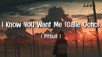 Pitbull - I Know You Want Me (Calle Ocho) (Lyrics) 1,2,3,4, I Know You Want Me