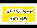 توضيح لزكاة الإبل والبقر الصف الثالث متوسط 