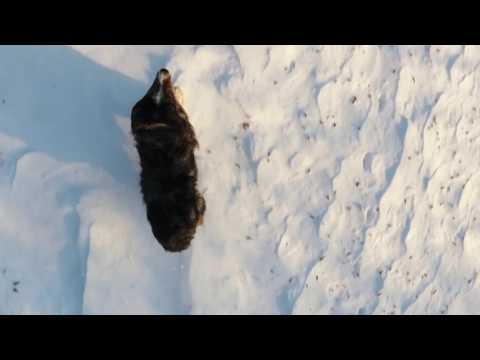 drone en haute savoie