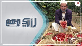 عيد موكا.. حضور البن اليمني على قوائم القهوة العالمية | رأيك مهم