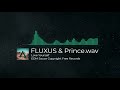 FLUXUS & Prince.wav - Love Yourself [EDM Sauce Copyright Free Records] Mp3 Song