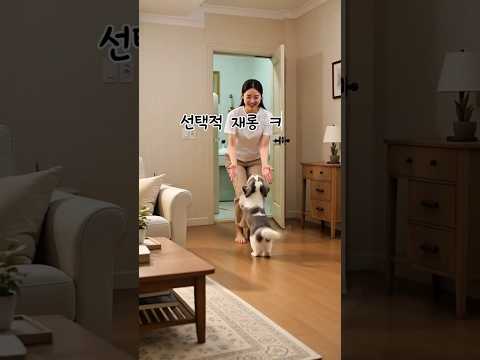 선택적 재롱