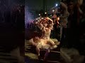 ゾンビ列の端っこで唱を踊るバレリーナちゃん #shorts #usj #ホラナイ