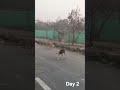 16 February 2026