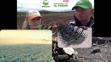 Pioneer GP Agronomy Minute - Managing Soil Crusting