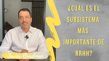 ¿Cuáles son los subsistema de alimentación?