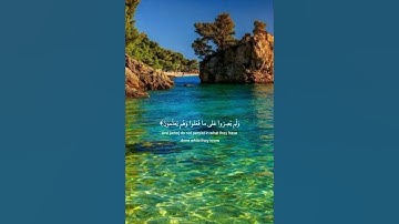 سورة أل عمران أية-(136-133) بصوت القارئ _سعود الشريم