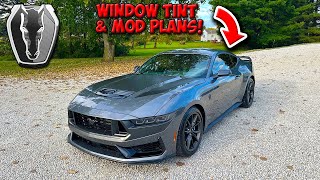 Mod Planning on 2024 Mustang Dark Horse! New Tint! by FreewayMedia 2,142 views 7 months ago 14 minutes, 54 seconds