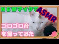 ASMR新外部マイクで猫のゴロゴロ音を録ってみたI tried to record the rumbling sound of a cat with a new external microphone