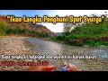 JERNIH SEPERTI AQUARIUM TAPI BANYAK IKANYA🤩‼️ HAMPALA DOUBLE DOT Sungai Oyo | Stream Fishing #GP 197