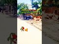 Kitna hasi chehra kitani pyari aakhe
