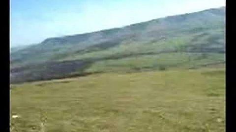 black mamba in glynde - a short film by kellie mur...