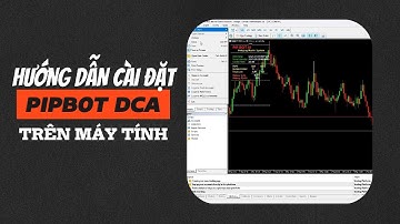 Hướng dẫn cài đặt PIPBOT DCA trên máy tính - BackcomExness100