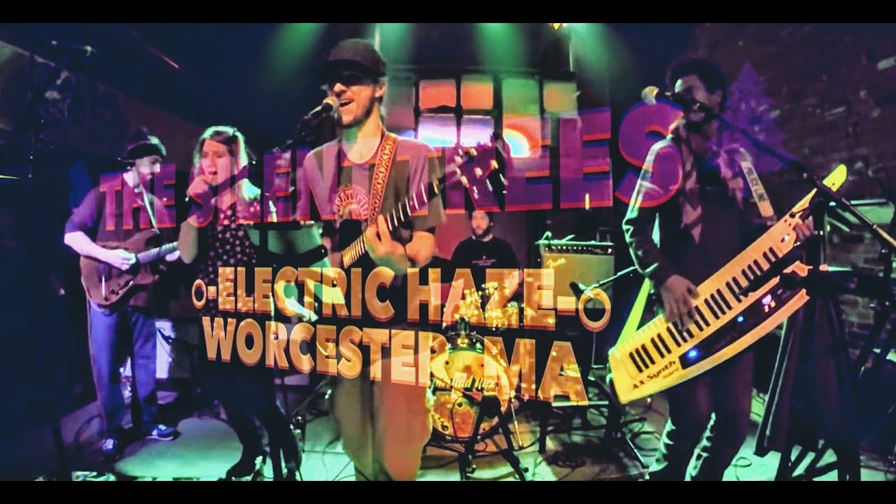 The Silent Trees - "Fire On The Mountain" - Dead Covers Project 2016