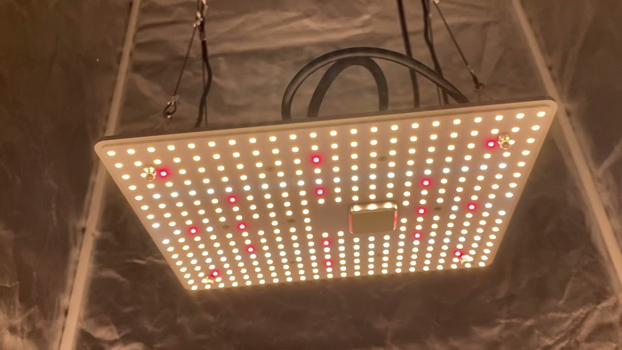 Mogobe 100W Led Grow Light -- MB-100