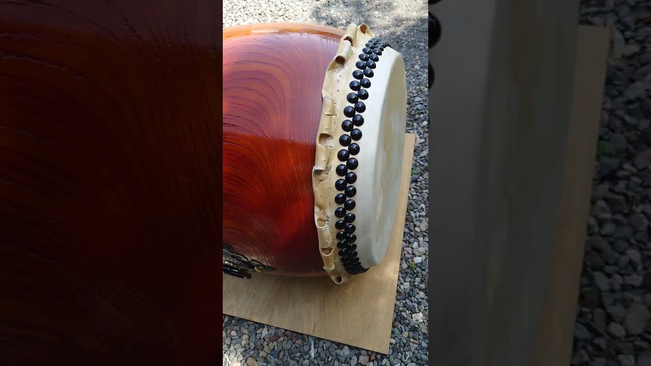 １尺６寸、ケヤキくり抜き胴。皮＝新品 1尺6寸、ケヤキくり抜き胴。皮＝新品 【公式通販】