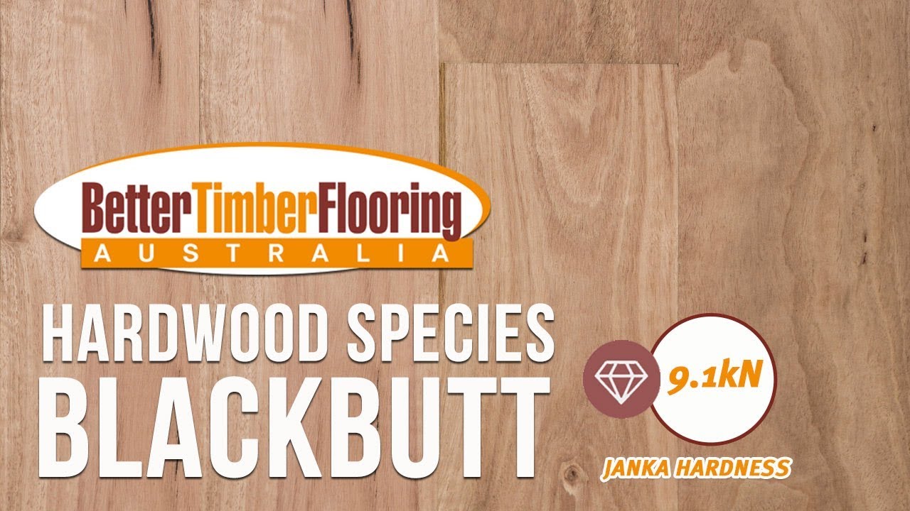 Blackbutt Timber Flooring Species Specification And Technical Data