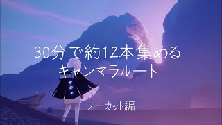 【sky】最高効率30分で12本集めるキャンマラルート【ノーカット編】