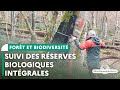 Suivi de lvolution des rserves biologiques intgrales  fort de fontainebleau