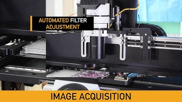 Automation of Cell Colony Analysis and Selection | Cell Processing | Parker Hannifin