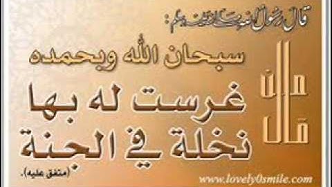 عادل ريان - سورة الرحمن