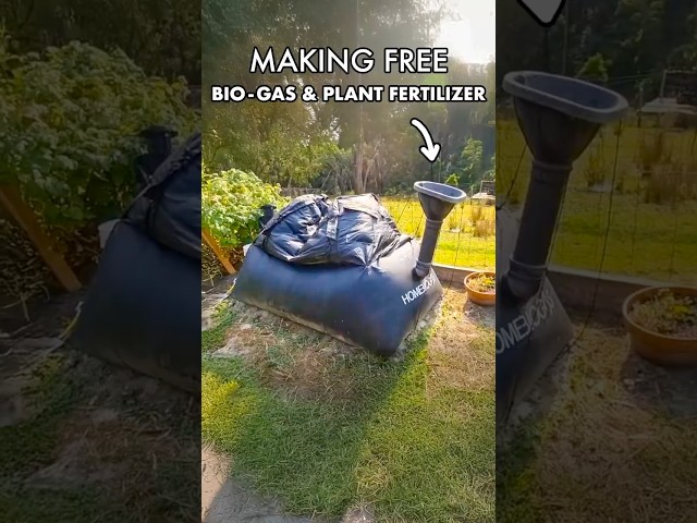 Amazing Bio-Digester Turns Food Scraps Into Free Bio Gas & Plant Fertilizer #shorts #offgrid