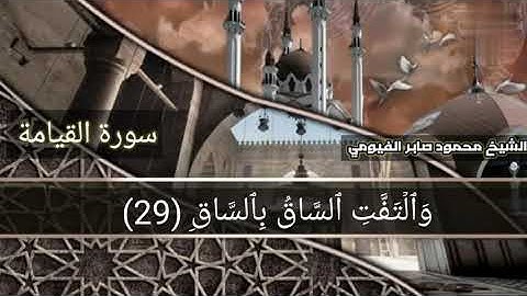 تلاوة نادرة من سورة القيامة للشيخ محمود صابر الفيومي من ولاية نيويورك الأمريكية