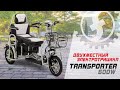 Двухместный электротрицикл для пожилых Transporter