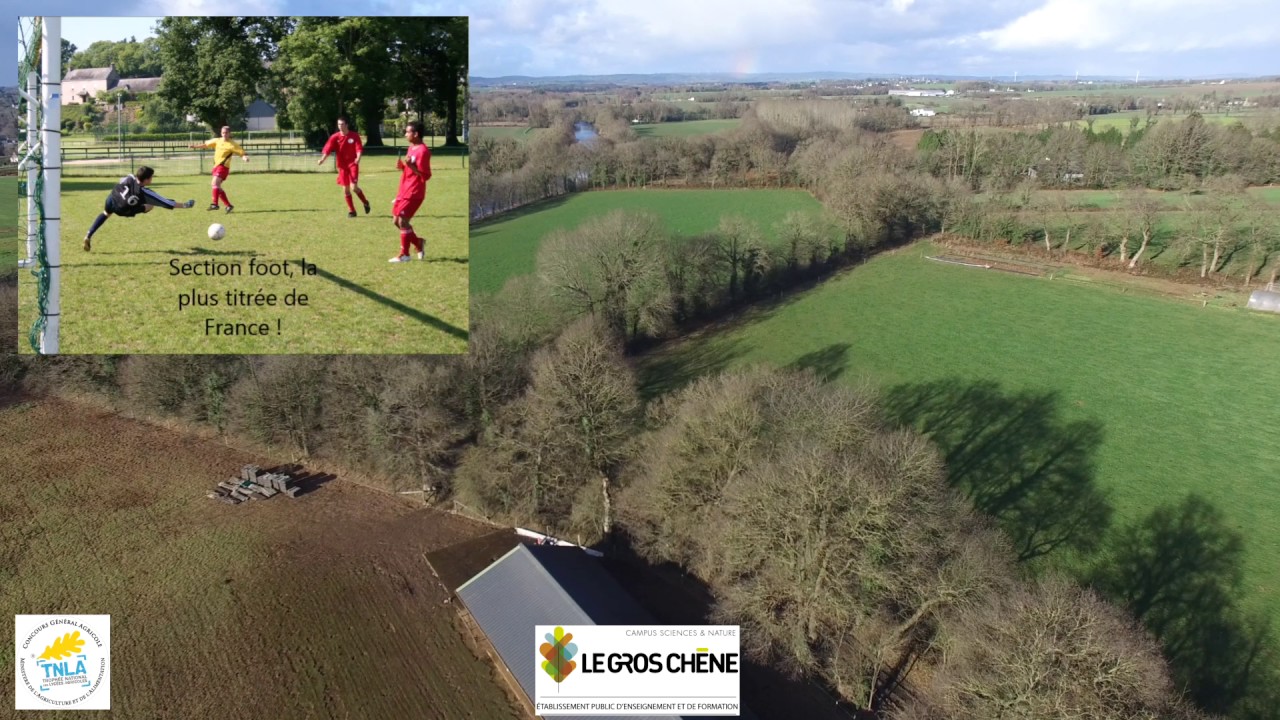 LA VIDEO TNLA 2017 LE GROS CHENE