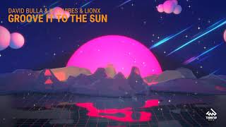 David Bulla & WildVibes & LionX - Groove It To The Sun