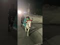 jaat #trending #motivation #shortvideos #viral #viralvideos
