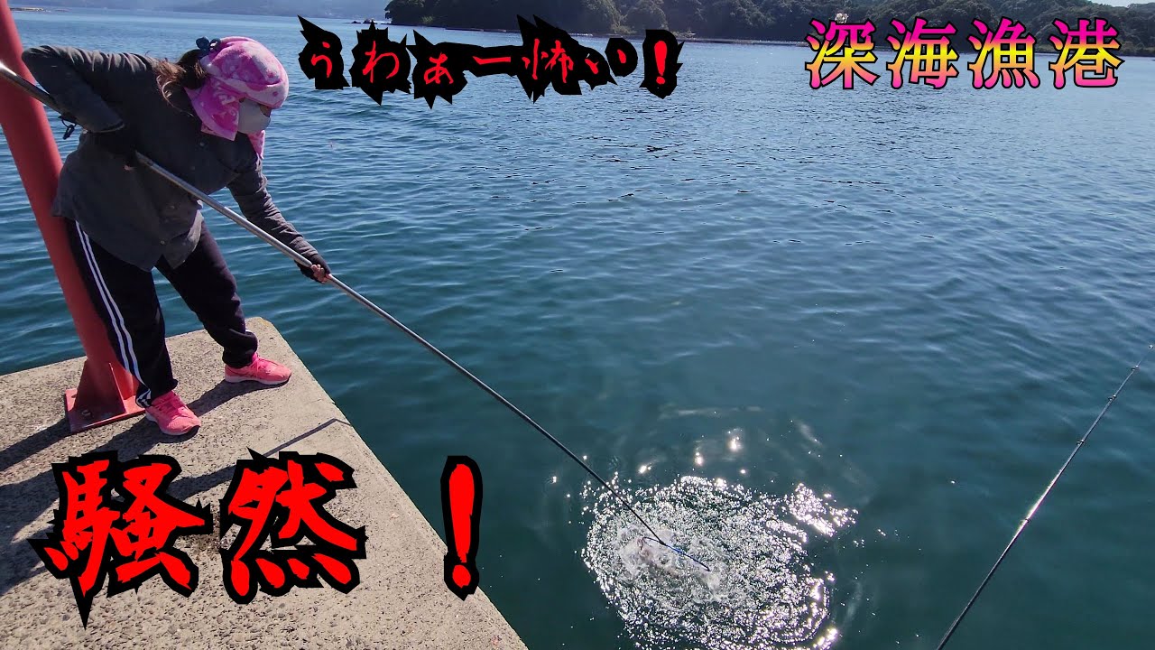 [天草市 深海町 深海漁港] カゴ釣りしてたらとんでもないものが！