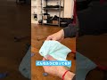 ビリヤード玉を半分に割ってみた!#実験 #科学 #ショート
