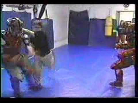 Modern Warrior: Total Self Defense Training