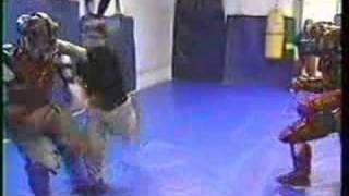 Modern Warrior: Total Self Defense Training