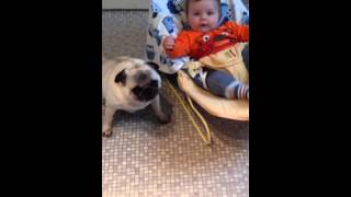 Baby Louie So Excited About His Bff Maisie Moo!