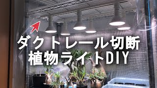 【DIY】ダクトレールを切断して植物ライトを増やす！ 後半はコレクション紹介