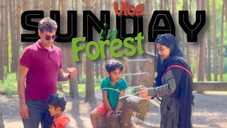 Escape to the Forest! Our Relaxing Family Sunday Adventure ☀️