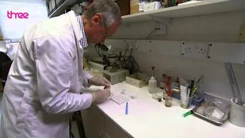 What's In An Ecstasy Tablet? - How Drugs Work, Ecstasy, Preview - BBC