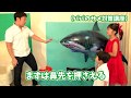 ★海の生物ごっこ！「巨大サメラジコン～！」★Huge Shark Radio Control★