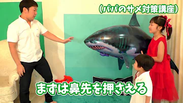 تحميل プリンセス姫スイートtv パウパトロール Mp4 Mp3 تحميل プリンセス姫スイートtv パウパトロール Mp4 Mp3