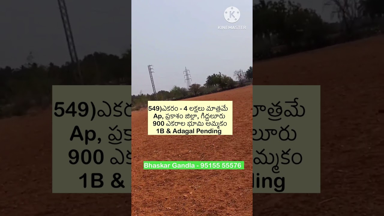 Acre - 4 lakhs Agricultural land sale Prakasham district Giddaloor