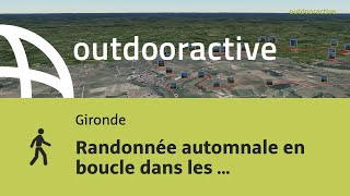 Randonnée Automnale En Boucle Dans Les Vignes De Saint-Émilion Via ...