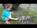 КОТЫ Яна играет с котиком на улице надувает мыльные пузырики Yana plays with a cat  Сries