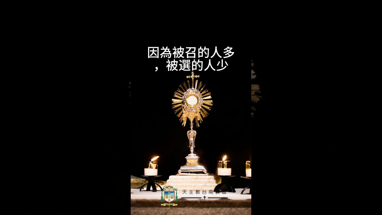 08/20  恭讀聖瑪竇福音　22:1-14   凡你們所遇到的，都請來赴婚宴。