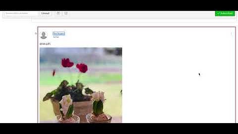 How to Embed an Image in Canvas Discussions/Assignments