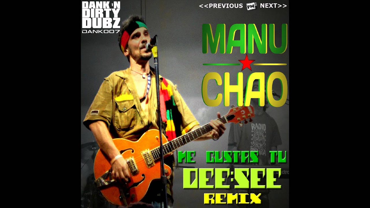 Manu Chao - Me gustas t lyrics English translation