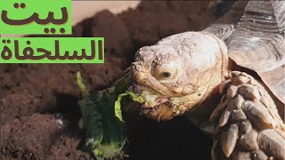 جهزنا حوض السلحفاة🤩🔥 | TURTLE ROOM